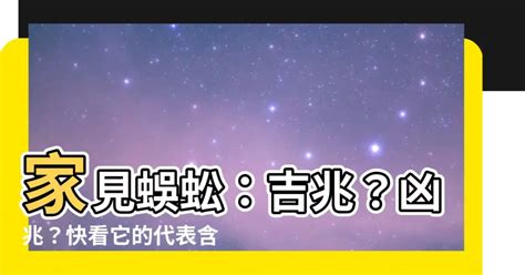 看 到 蜈蚣代表什麼|【看到蜈蚣代表什麼】看見蜈蚣象徵著什麼？蜈蚣出現。